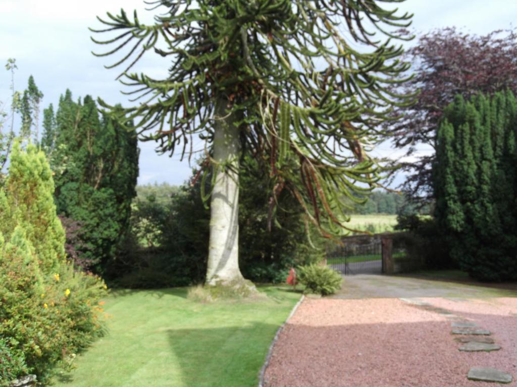 Bed and Breakfast Kirkpatrick House Gretna Green Zewnętrze zdjęcie